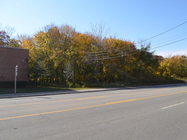 property development site for sale at maltz auctions in new york city