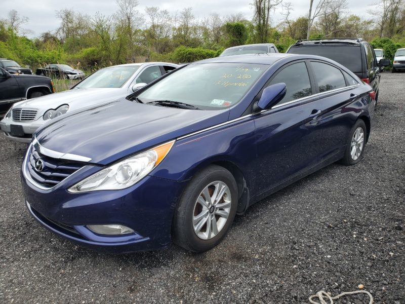 blue honda for sale at maltz auto auctions in new york