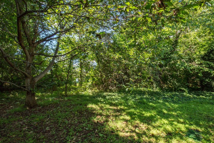 backyard of property up for sale at Maltz Auctions