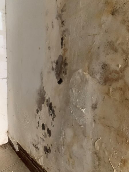 interior wall of mixed use building for sale by maltz auctions